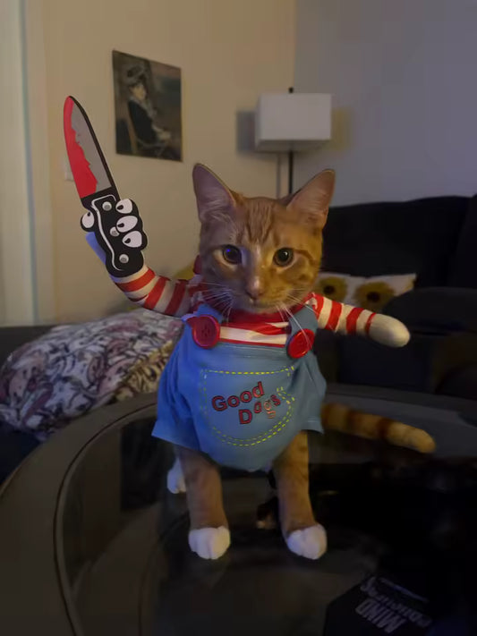 Pawcky - the mini menace costume for your pet